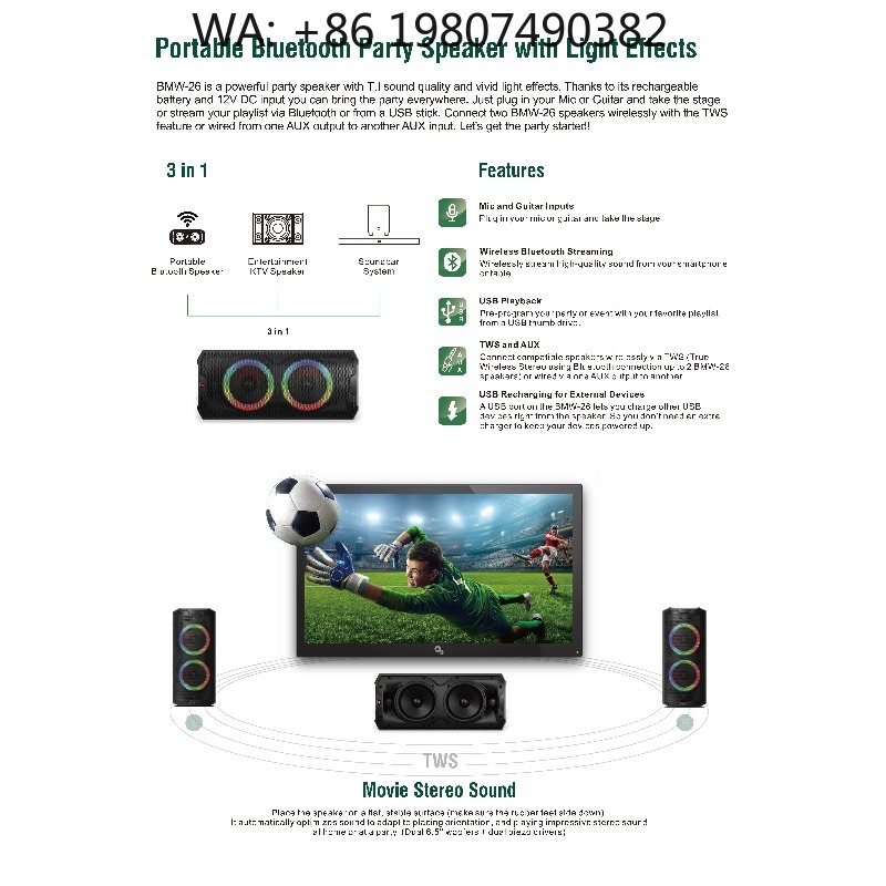 Woofer - Enceinte active portable de 6,5 pouces,