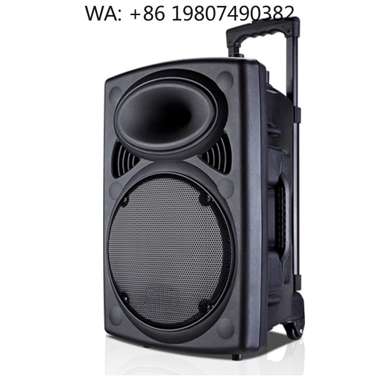 Woofer - Enceinte trolley portable 2.0 canaux avec