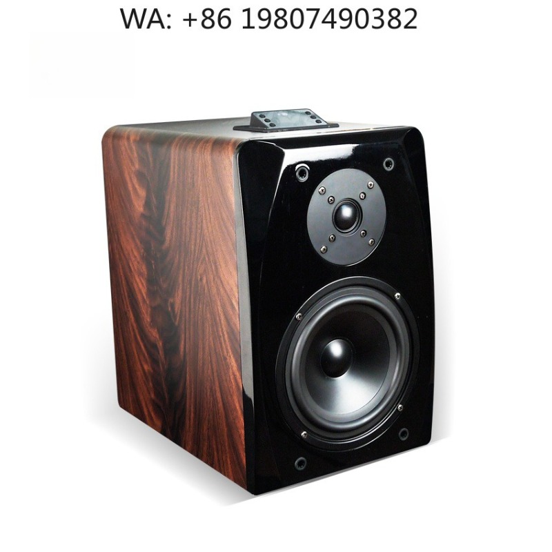 Woofer - Enceinte de karaoké active haute performance