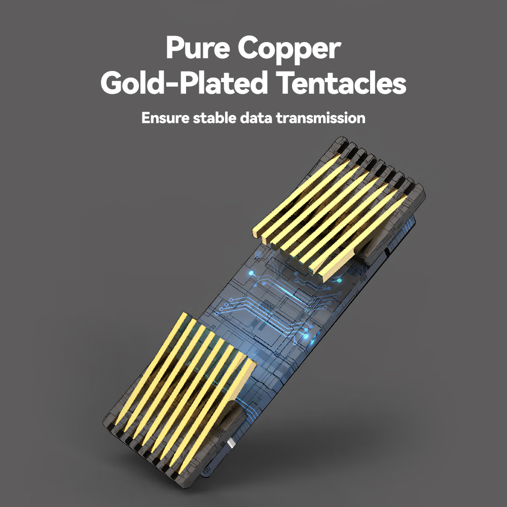 Coupleur Keystone CAT6 Denswir - Rj45 Jack avis et prix