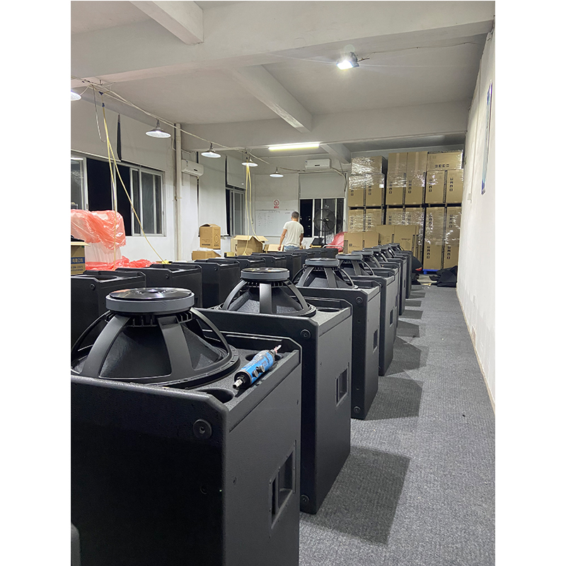 Système audio professionnel VE - Woofer avis et prix