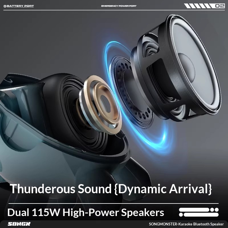 SONGX Audio double Microphone  - Full Range Speaker avis et prix